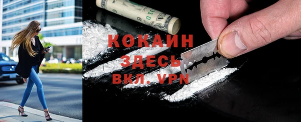 гашик Нея