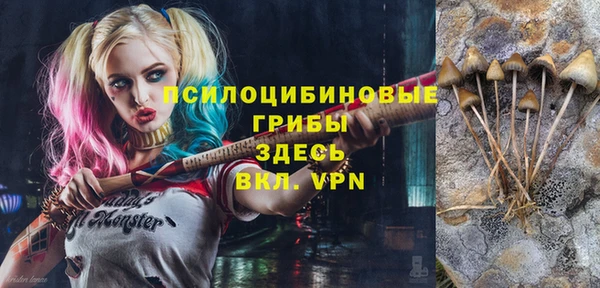 гашик Нея