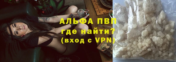 гашик Нея
