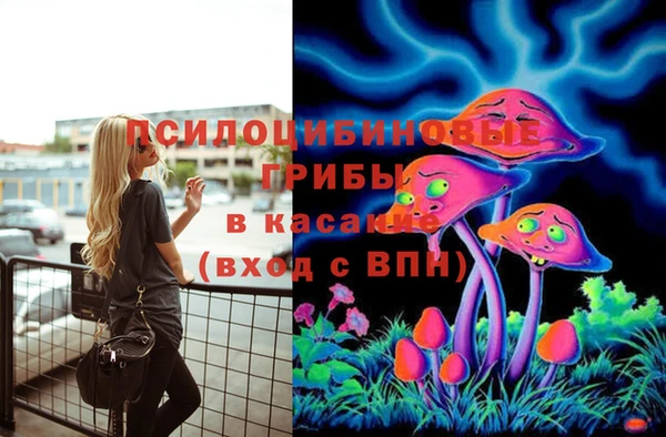 дурь Нефтекумск