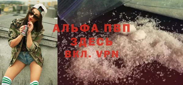 гашик Нея